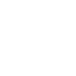 vison icon