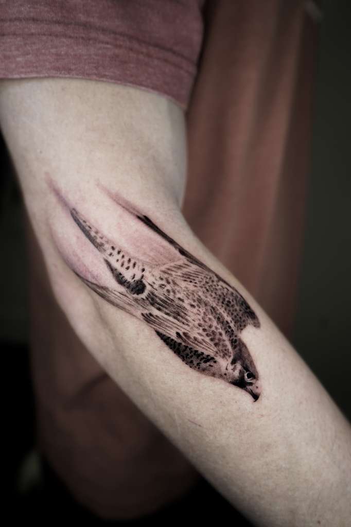 adam-acebedo-tattoo6